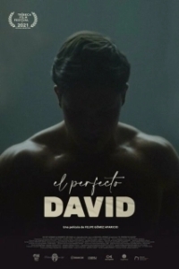 Постер Идеальный Давид (El perfecto David)