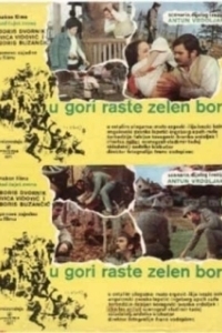 Постер На горе растет зеленая сосна (U gori raste zelen bor)