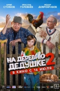 
На деревню дедушке 2 (2026) 