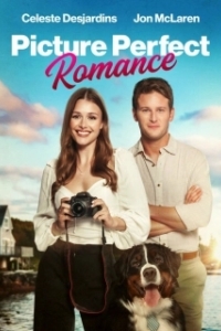 Постер Идеальный роман (Picture Perfect Romance)