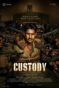 Постер Под стражей (Custody)