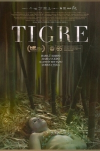 
Тигр (2017) 