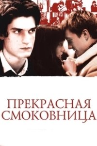 Постер Прекрасная смоковница (La belle personne)