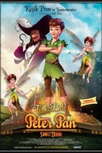 Постер Питер Пэн: В поисках магической книги (Peter Pan: The Quest for the Never Book)