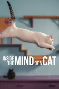 Постер Внутри разума кошки (Inside the Mind of a Cat)