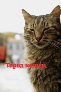 Постер Город кошек (Kedi)
