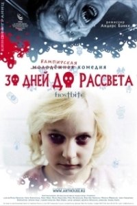 Постер 30 дней до рассвета