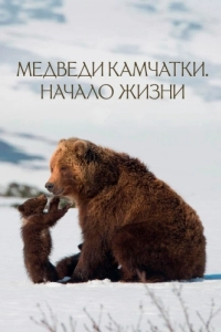 Постер Медведи Камчатки. Начало жизни