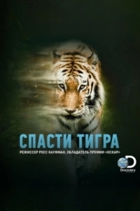 Постер Спасти тигра (Taken by the Tiger)
