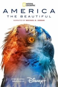 Постер Прекрасная Америка (America the Beautiful)