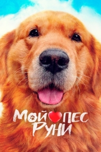Постер Мой пёс Руни (Meongmongi)