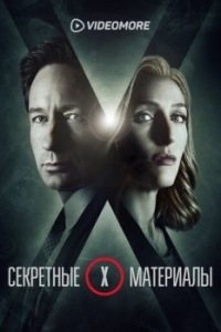Постер Секретные материалы (The X-Files)