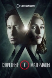 Секретные материалы 
