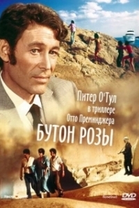 Постер Бутон розы (Rosebud)
