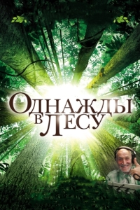 Постер Однажды в лесу (Once in the Forest)