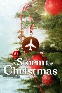 Постер Рождественская буря (A Storm for Christmas)