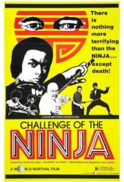 
Шаолинь вызывает ниндзя (1978) 