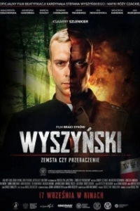 
Вышиньский — месть или прощение (2021) 