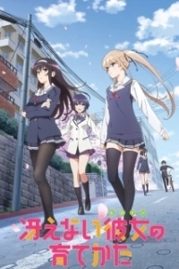 Постер Как создать из обычной девушки героиню (Saenai hiroin no sodatekata)