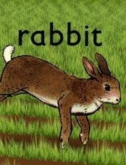 
Кролик (2005) 