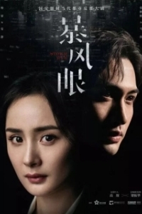 Постер Эпицентр бури (Bao feng yan)