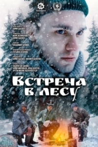Постер Встреча в лесу