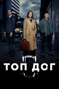 Топ дог (1-2 сезон) 

