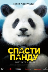 Постер Спасти панду (Miseuteo Ju: sarajin VIP)