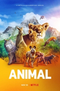 Постер Удивительные животные (Animal)