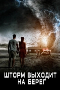 Постер Шторм выходит на берег (Landfall)