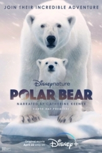 Постер Полярный медведь (Polar Bear)