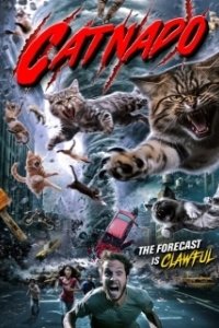 Постер Кошачий торнадо (Catnado)