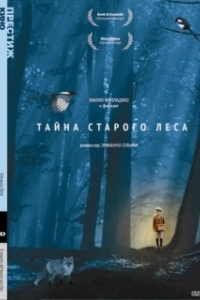 Постер Тайна старого леса (Il segreto del bosco vecchio)