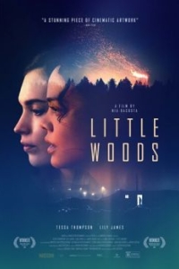 Постер Лесок (Little Woods)