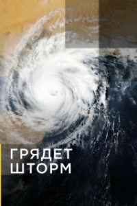 Постер Грядет шторм (Gathering Storm)