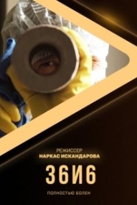 Постер 36и6