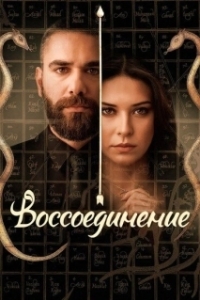 Постер Воссоединение (Reunion)