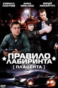 Постер Правило лабиринта: Плацента