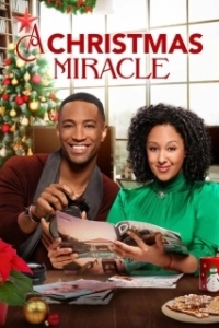 Постер Рождественское чудо (A Christmas Miracle)