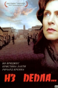 Постер Из пепла (Out of the Ashes)