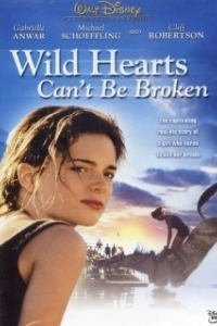 Постер Храбрых сердцем не сломить (Wild Hearts Can't Be Broken)