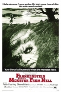 Постер Франкенштейн и монстр из ада (Frankenstein and the Monster from Hell)