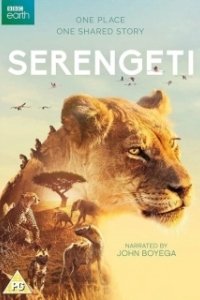Постер Серенгети (Serengeti)