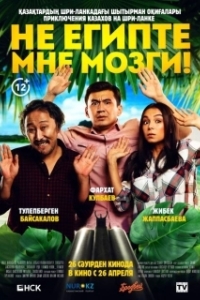 Постер Не египте мне мозги!