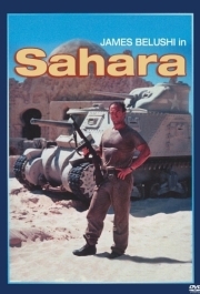 
Сахара (1995) 