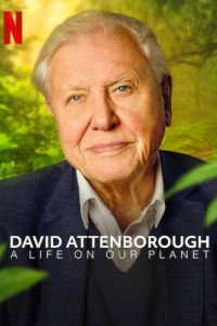 Постер Дэвид Аттенборо: Жизнь на нашей планете (David Attenborough: A Life on Our Planet)