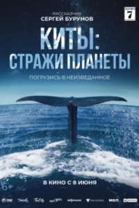 Постер Киты: Стражи планеты (Les gardiennes de la planète)