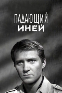 Постер Падающий иней