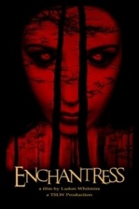 Постер Чародейка (Enchantress)