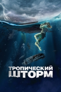 Постер Тропический шторм (The Requin)